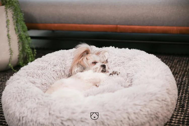 Insanely comfy, Ridiculously soft Help your dog sleep comfortably  Shop now